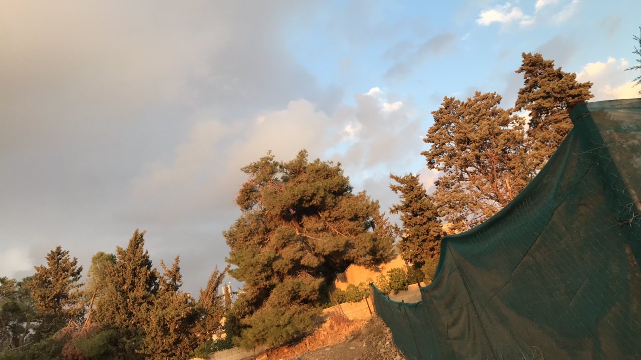 مشاركاتي في أنت الراصد