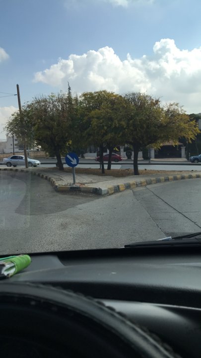 مشاركاتي في أنت الراصد