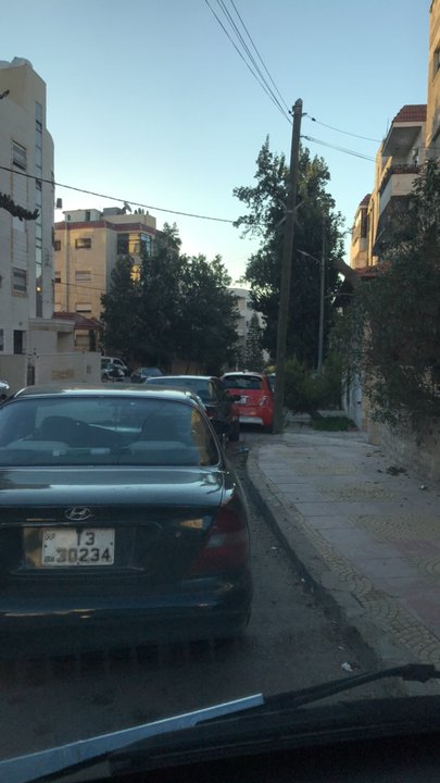 مشاركاتي في أنت الراصد