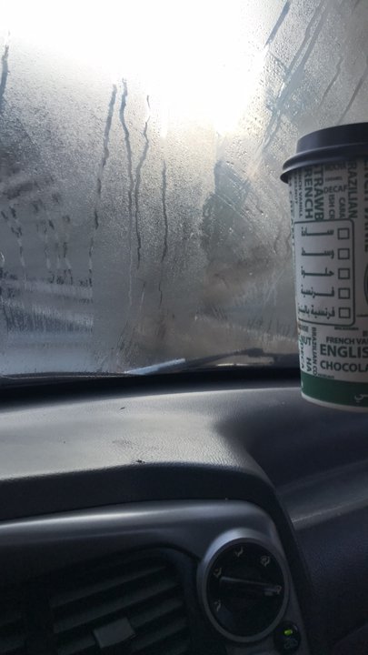 مشاركاتي في أنت الراصد