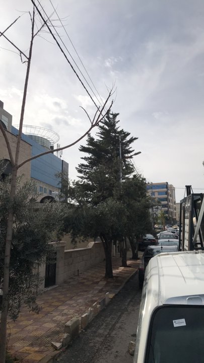 مشاركاتي في أنت الراصد