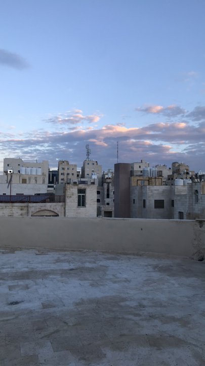 مشاركاتي في أنت الراصد