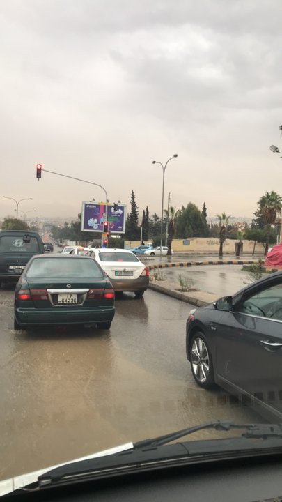 مشاركاتي في أنت الراصد