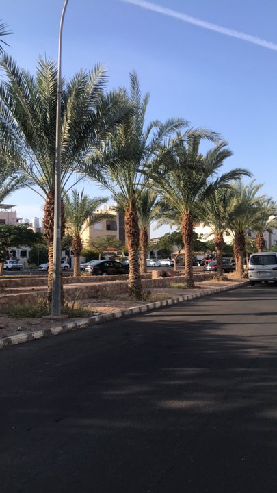 مشاركاتي في أنت الراصد