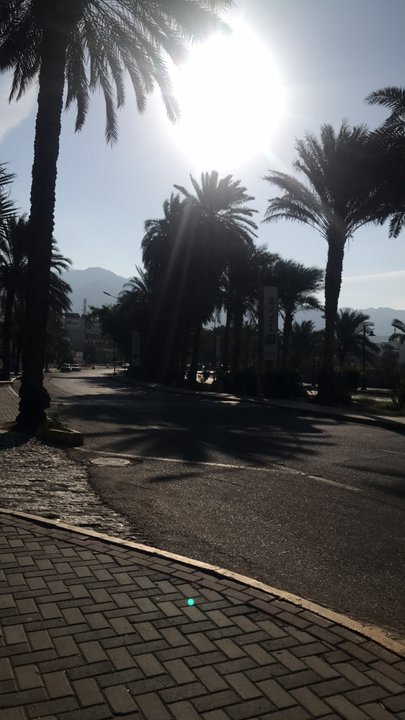 مشاركاتي في أنت الراصد