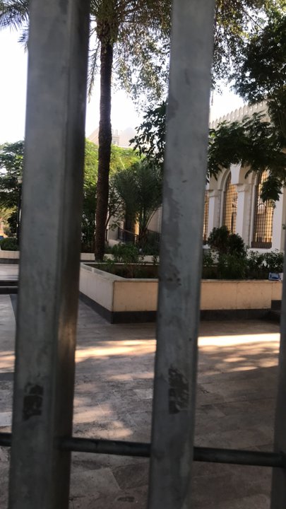 مشاركاتي في أنت الراصد