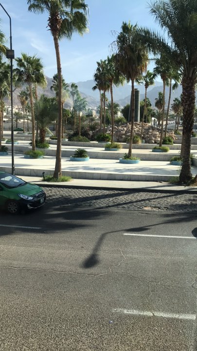 مشاركاتي في أنت الراصد