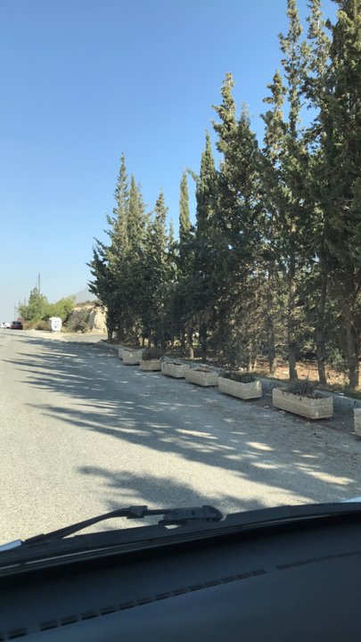 مشاركاتي في أنت الراصد