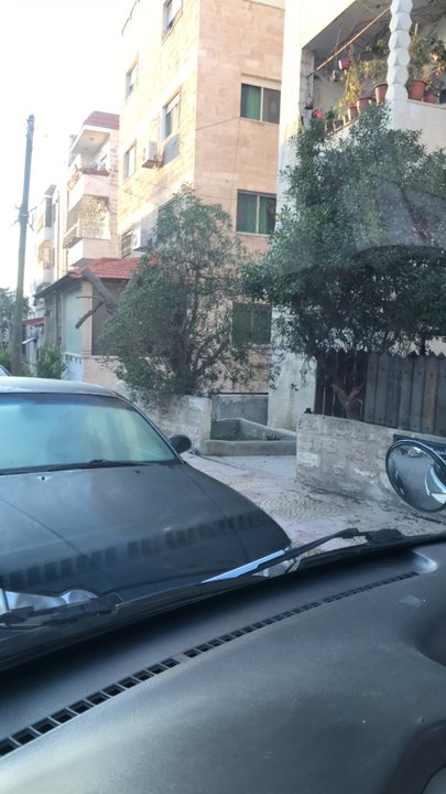 مشاركاتي في أنت الراصد