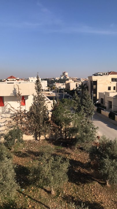 مشاركاتي في أنت الراصد