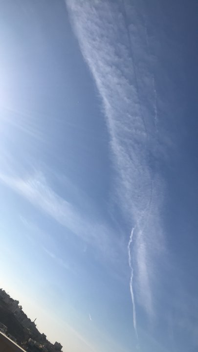 مشاركاتي في أنت الراصد