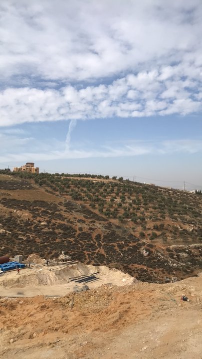 مشاركاتي في أنت الراصد