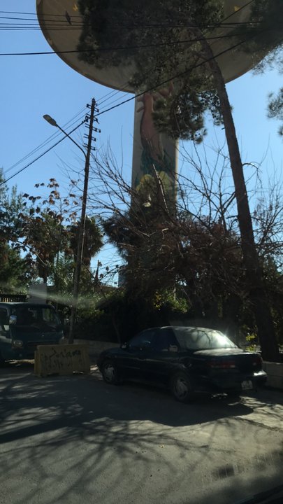 مشاركاتي في أنت الراصد