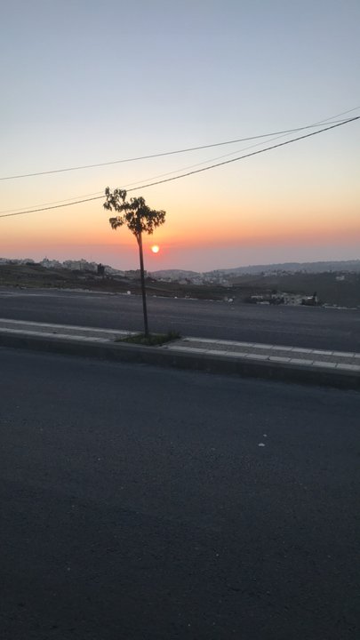 مشاركاتي في أنت الراصد