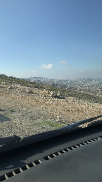 مشاركاتي في أنت الراصد