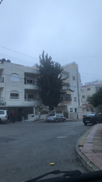 مشاركاتي في أنت الراصد