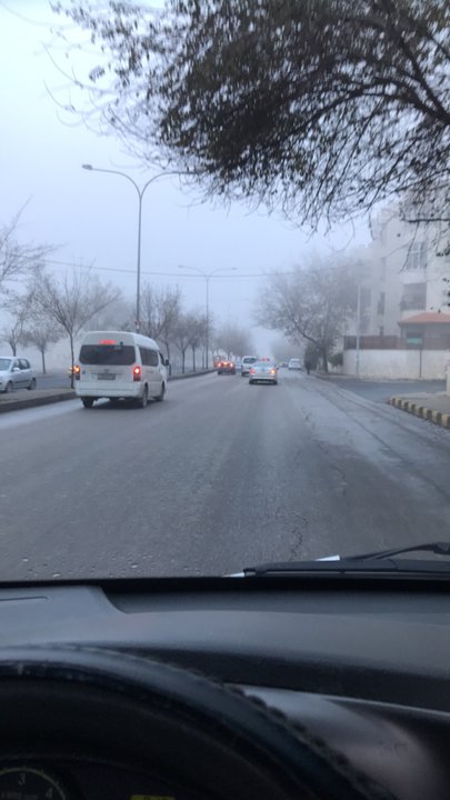 مشاركاتي في أنت الراصد