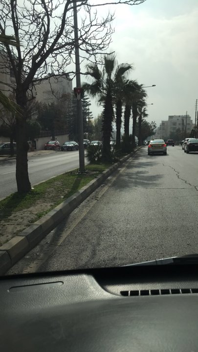 مشاركاتي في أنت الراصد