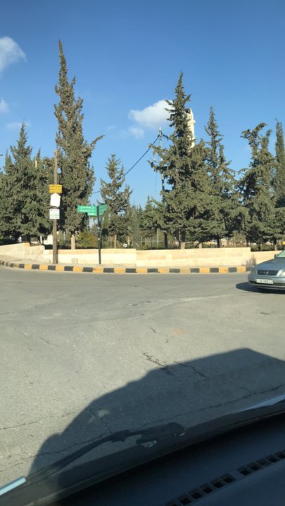 مشاركاتي في أنت الراصد