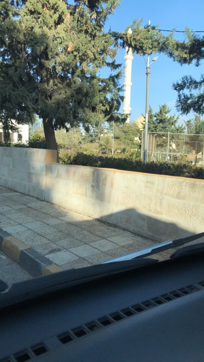 مشاركاتي في أنت الراصد