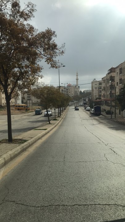 مشاركاتي في أنت الراصد