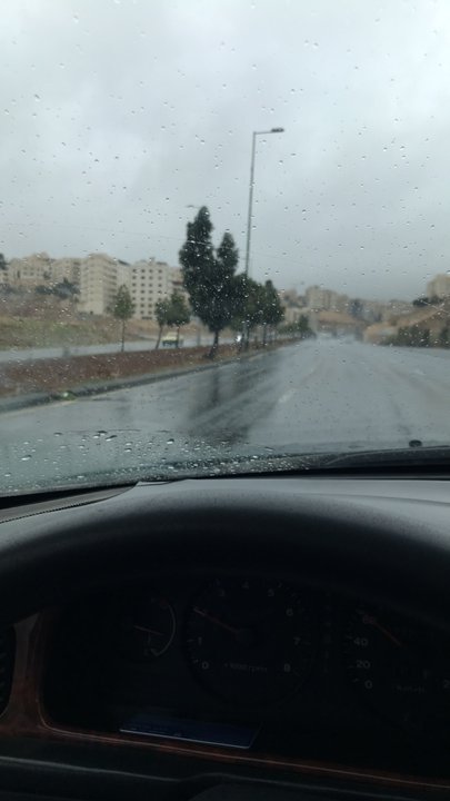 مشاركاتي في أنت الراصد