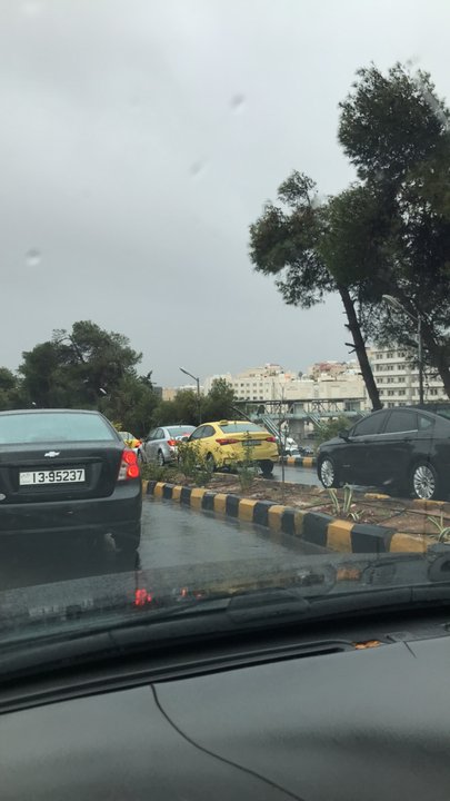 مشاركاتي في أنت الراصد