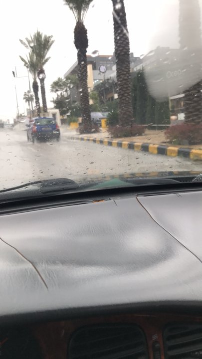 مشاركاتي في أنت الراصد