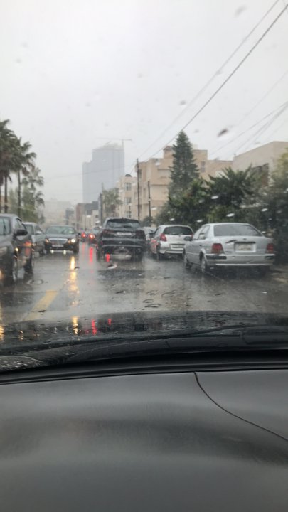 مشاركاتي في أنت الراصد