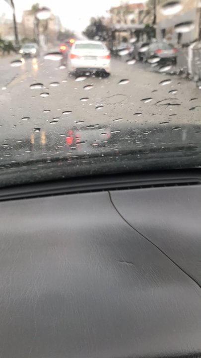 مشاركاتي في أنت الراصد