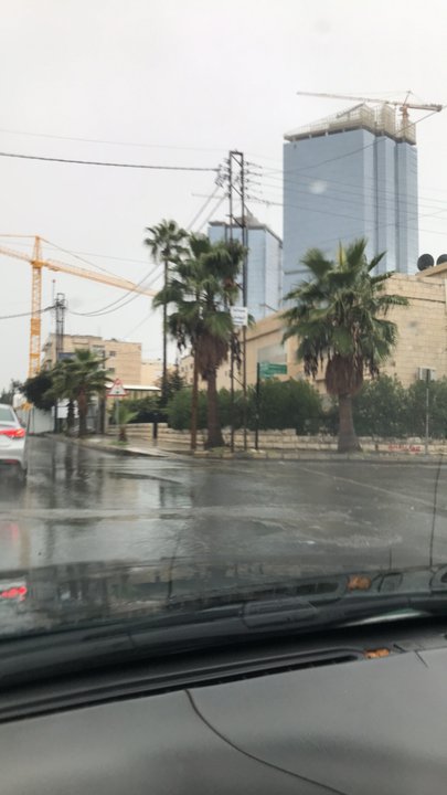 مشاركاتي في أنت الراصد