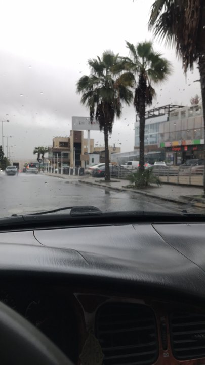 مشاركاتي في أنت الراصد