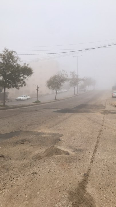 مشاركاتي في أنت الراصد