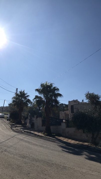 مشاركاتي في أنت الراصد