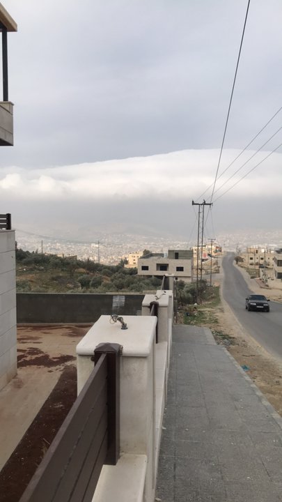 مشاركاتي في أنت الراصد