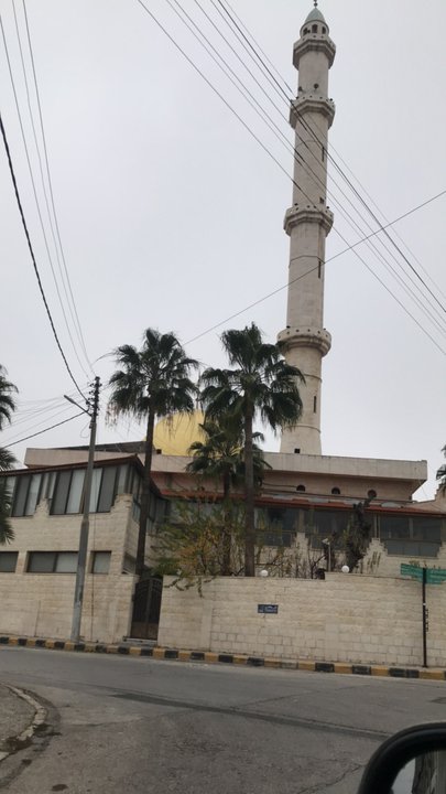 مشاركاتي في أنت الراصد