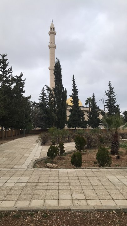 مشاركاتي في أنت الراصد