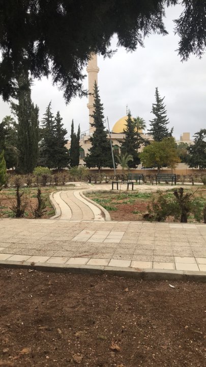 مشاركاتي في أنت الراصد