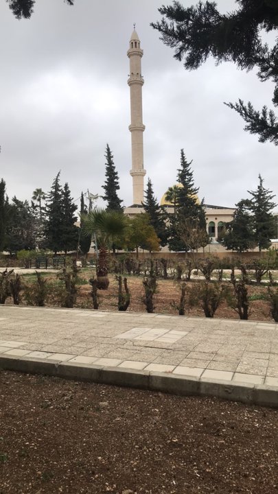 مشاركاتي في أنت الراصد