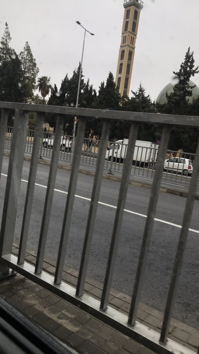 مشاركاتي في أنت الراصد