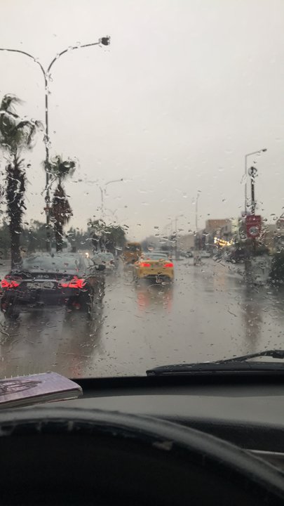 مشاركاتي في أنت الراصد