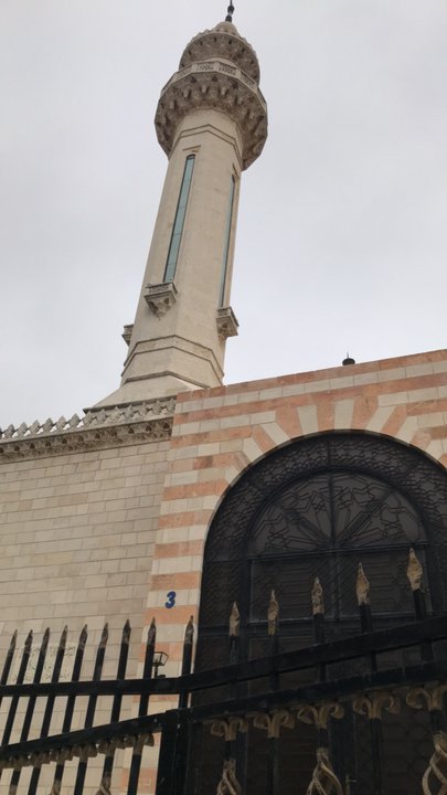 مشاركاتي في أنت الراصد