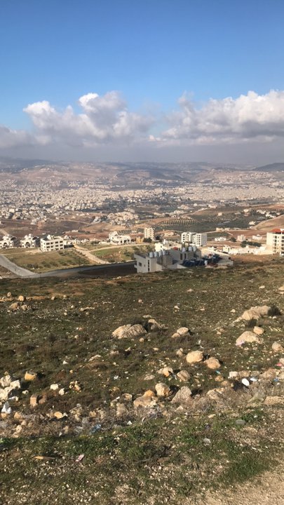 مشاركاتي في أنت الراصد