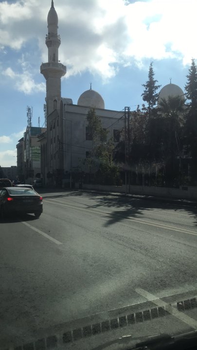 مشاركاتي في أنت الراصد