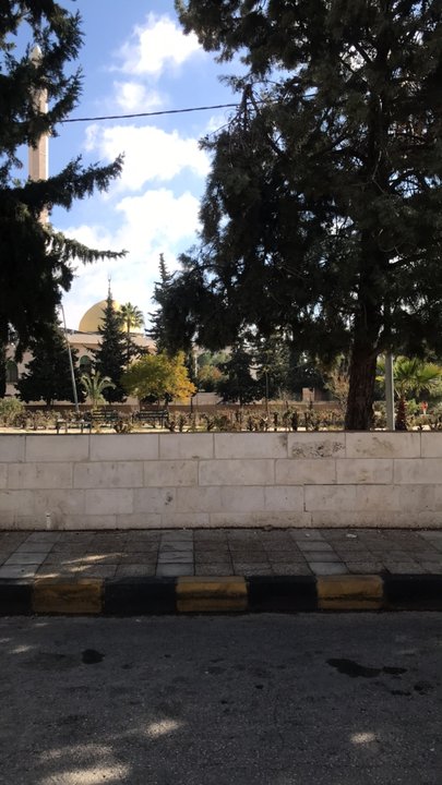 مشاركاتي في أنت الراصد