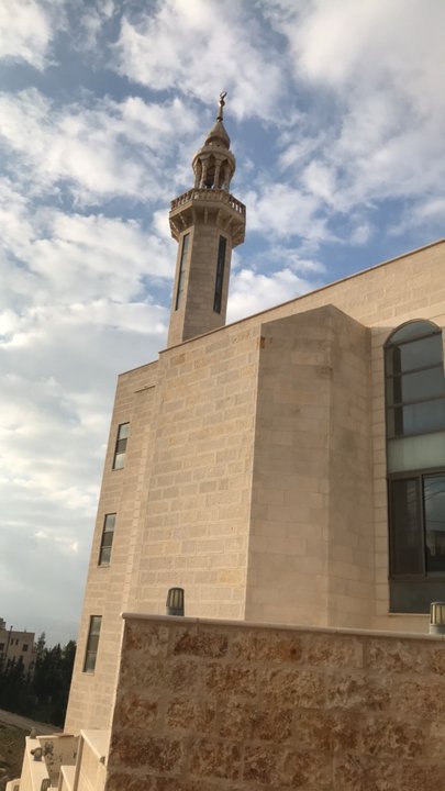 مشاركاتي في أنت الراصد