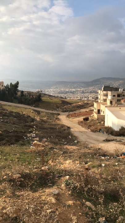 مشاركاتي في أنت الراصد