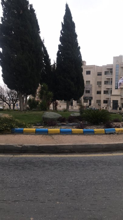 مشاركاتي في أنت الراصد