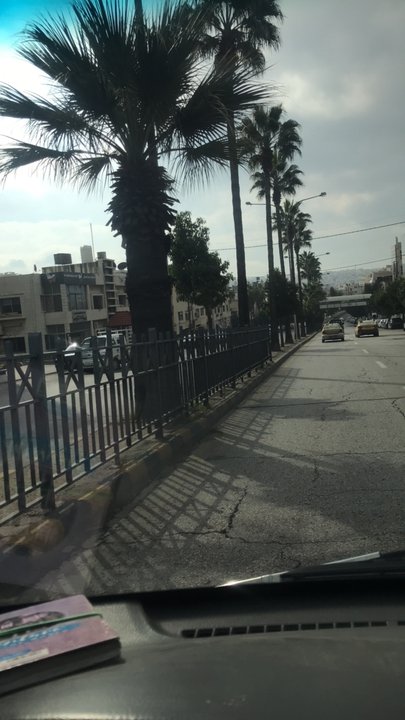 مشاركاتي في أنت الراصد