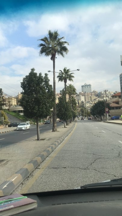 مشاركاتي في أنت الراصد